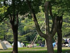 -上海滨江森林公园