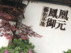 -凤凰御元艺术基地