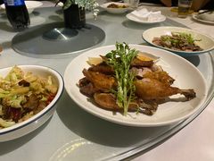 -青叶202都市餐厅(迪诺水镇店)