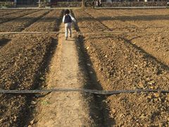 -田园东方蜜桃村的田野营地