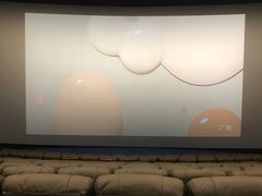 -SFC上影影城(港汇永华IMAX激光店)