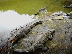 -广东茂名森林公园