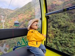 -少华山国家森林公园