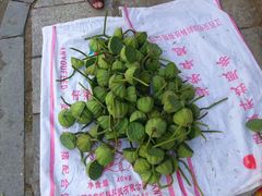 -中华贤母园-陶渊明纪念馆