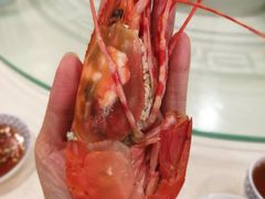 -新避风塘