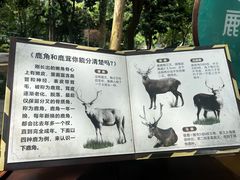 -成都动物园
