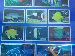-御唐府海珊瑚主题餐厅