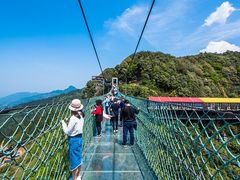 -梦幻奥陶纪景区