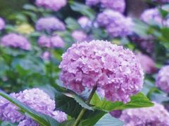 -常州古运河南大街文化旅游区-人民公园