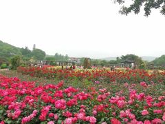 -龙寺生态园