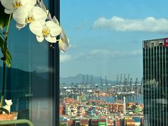 -喜家德虾仁水饺(岗厦北店)