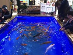 -天虹购物中心(石路店)