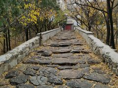 -阳台山自然风景区