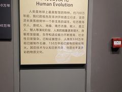 -辽宁古生物博物馆