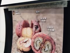 -悟白咖啡WoobyCafe