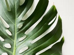 -世纪联华超市(浦电路店)