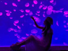 -哈尔滨波塞冬海底世界