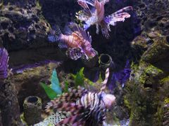 -太平洋海底世界