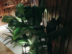 -紫莲花足道(柯桥古镇店)