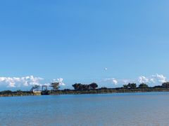 -大湾区中央湿地公园-十九涌