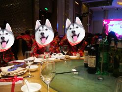 -上海浦东喜来登由由大酒店·宴会厅