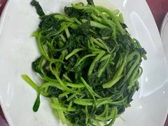 -晋府大酒店