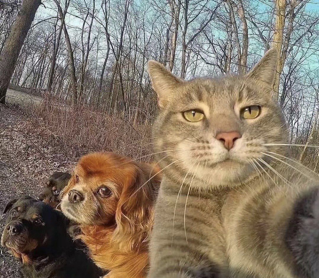 爱自拍喵总和傻甜狗哥