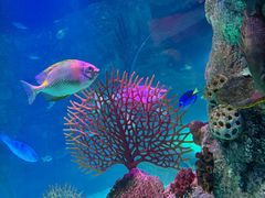 -沈阳海洋探索中心