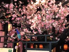 -绿茶餐厅(松江万达店)