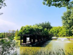 -翠湖国家城市湿地公园