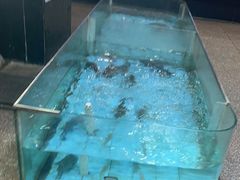 -渔民新村(番禺总店)