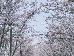 -良渚文化村