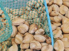 -海铺·渔家虾水饺(皇姑店)