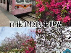 -小南山公园