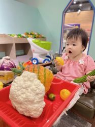 -泡泡米POPOME益智乐园(洪殿花园旗舰店)