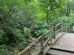 -本溪汤沟绿石谷森林公园