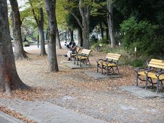 -井之头恩赐公园