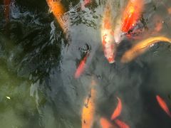 -陈云纪念馆