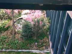 -悦隆庄温泉度假酒店