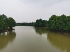 -上海海湾国家森林公园