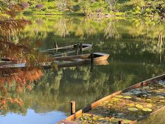 -深圳仙湖植物园