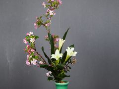 -荷兰布尔玛国际花艺学院