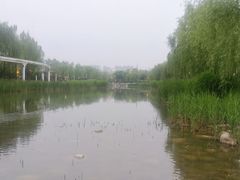 -唐城墙遗址公园