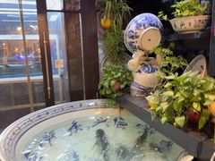 -南京金牛湖巨碗鱼头
