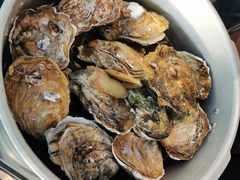 -千岛蚝高压锅生蚝·人参火锅(白云万达店)