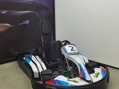 -赛卡联盟卡丁车馆(上海世博店)