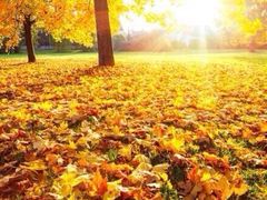 -四海游龙(大华店)