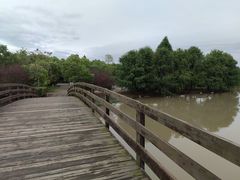 -上海海湾国家森林公园