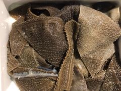 -食潮汕头鲜牛馆(望京保利店)
