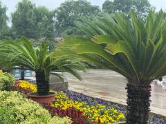 -承德避暑山庄景区